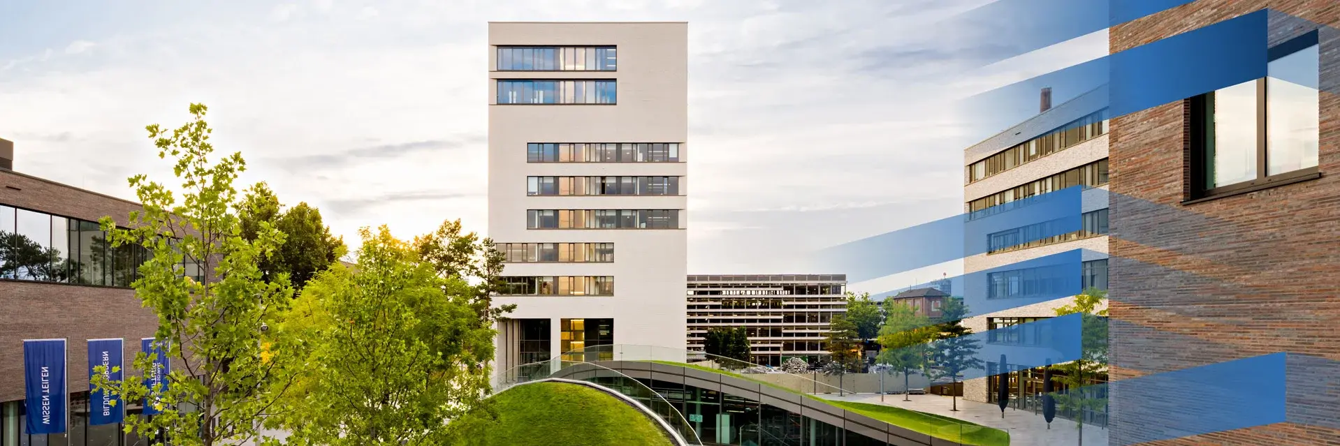 Weitaufnahme des Campusgeländes Bildungscampus Heilbronn